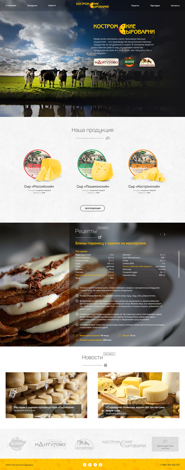 Кейс создание макета сайта производителя продуктов